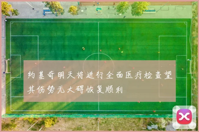 约基奇明天将进行全面医疗检查望其伤势无大碍恢复顺利