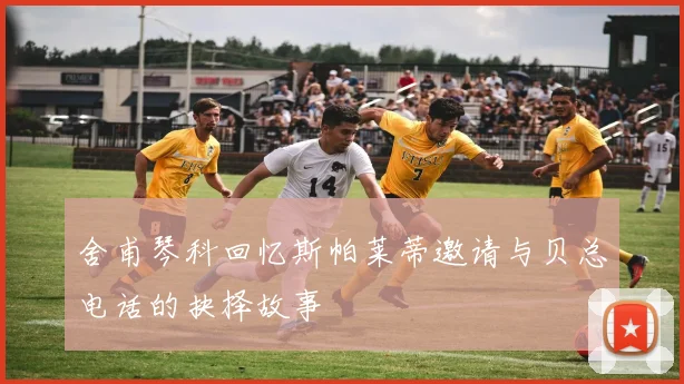 舍甫琴科回忆斯帕莱蒂邀请与贝总电话的抉择故事