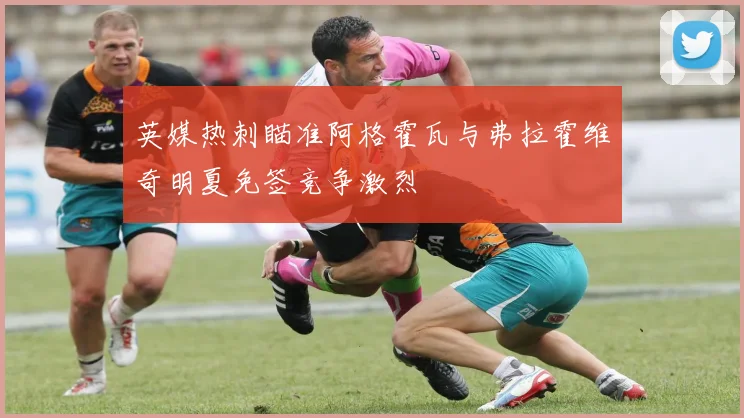 英媒热刺瞄准阿格霍瓦与弗拉霍维奇明夏免签竞争激烈